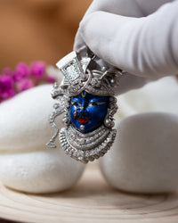 Radiant Srinathji